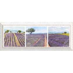 Framed art prints 30x90cm FAP247
