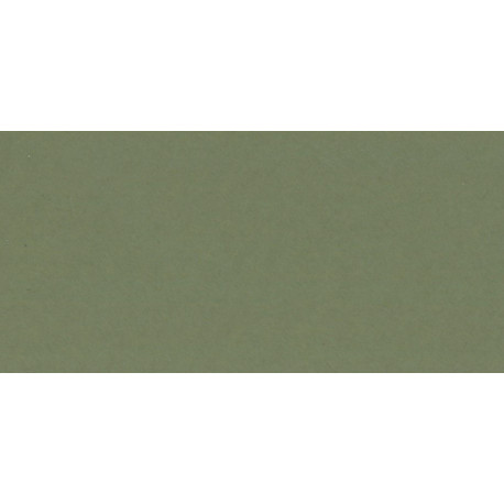 Pasparta Verde Felce 80x120