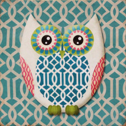 Obraz na plátne 28x28 Colorful owl 4