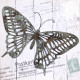 Obraz na plátne 50x50 3D Motýlia pošta I.