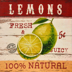 Obraz na plátne 28x28 Lemons