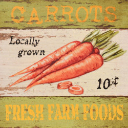 Obraz na plátne 28x28 Farm carrots