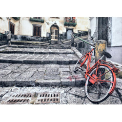 Obraz na plátne 50x70 Bicykel