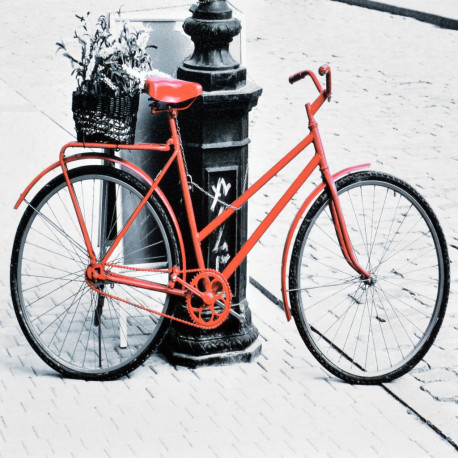 Obraz na plátne 70x70 Červený bicykel