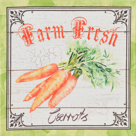 Obraz na plátne 28x28 Carrot farm