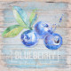 Obraz na plátne 28x28 Blueberry