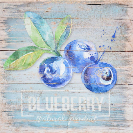 Obraz na plátne 28x28 Blueberry