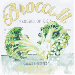 Obraz na plátne 40x40 Brokolica