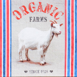 Obraz na plátne 40x40 Organická Farma